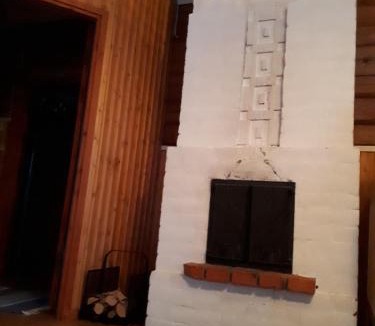 Lapinlahti Ski Chalet | Palokärki Schwarzspecht, house and lakeside sauna in the countryside