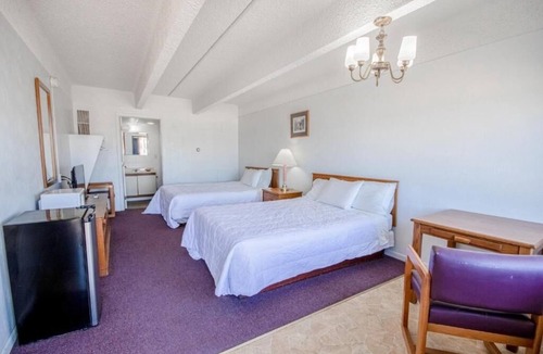 Osborne Hotel | Perfect Budget 2-Room Stay for Pet Owners – Friendly & Comfortable