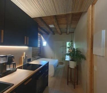 Muurame Apartment | Pieni asunto maalla navettarakennuksessa.