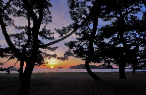 Sanuki Apartment | Pine Beach Resort Villa