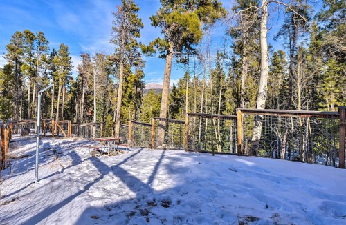 Valley of the Sun Cabin | Private Dog-Friendly Fairplay Cabin w/ Deck & Yard