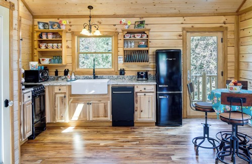Green Valley Cabin | Private Hot Tub & Pond: Conifer Log Cabin