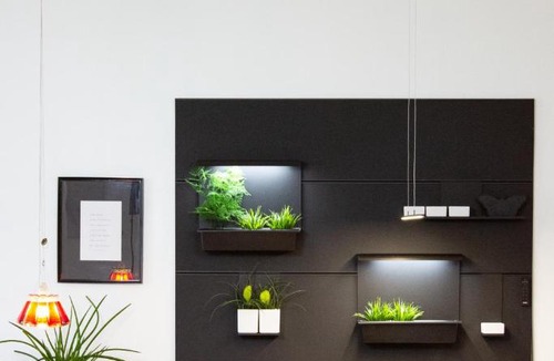 Untere Au Apartment | Puro-Design-Apartment Deluxe - very central