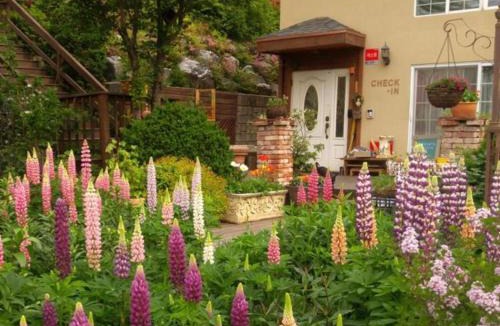 Daegwallyeong House | Queens Garden Pension