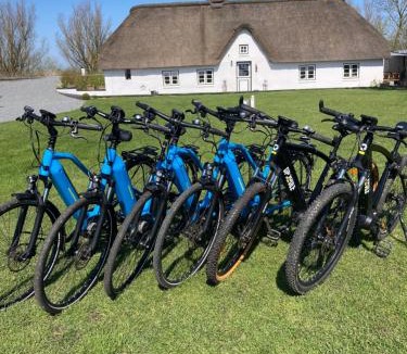 Augustenkoog House | Reetdachhaus, Sauna, E-Bikes, 6 Personen