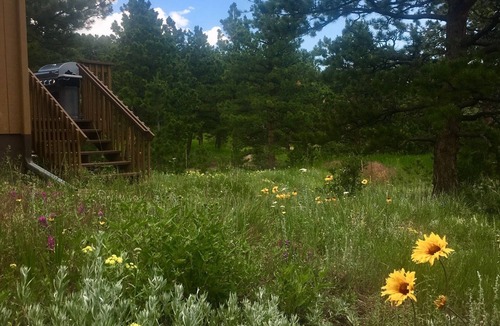 Lyons House | Relaxing Mountain Get-away, Close To Estes Park & Rocky Mountain National Park