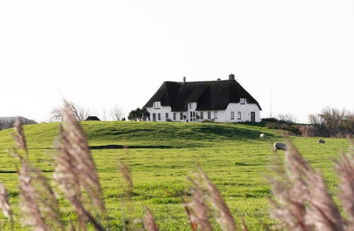 Pellworm Apartment | Rickmer’s Hoff Cottage| Sauna, Kamin & Weitblick