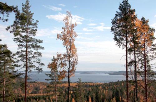 Muurame House | Riihivuori Cottages