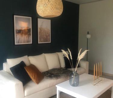 Ylivieska Apartment | Rivitalon päätyasunto omalla saunalla 6