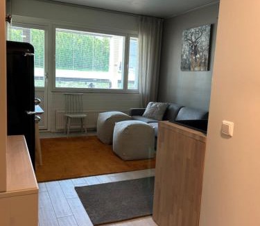 Ellivuori Apartment | Sastamala, Ellivuori, viihtyisä saunallinen lomahuoneisto