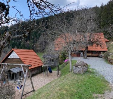 Oberwolfach Apartment | Schmalzerhisli