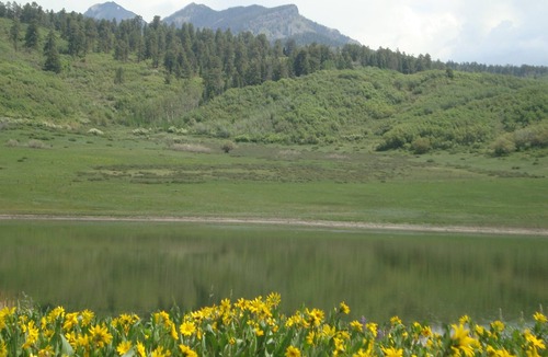 Pagosa Springs House | Secluded Mountain Retreat With Pond Bordering National Forest!