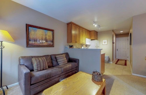 Four O'Clock Condo | Ski-in dog-friendly condo with hot tub & sauna in great location