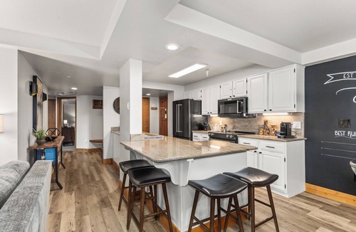 Steamboat Springs Condo | Ski-In Ski-Out Luxe Mountain Retreat 2 Bed 2 Bath Condo at Torian Plum