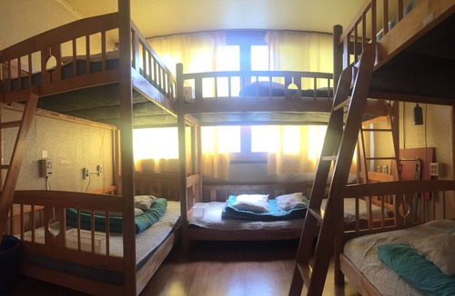 Moseulpo Hostel | Springflower Guesthouse - Hostel