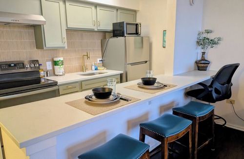 Downtown Denver Condo | STUDIO 21 DOWNTOWN DENVER EXCELLENT LOCATION, MOUNTAIN VIEW, HEATED POOL AND GYM