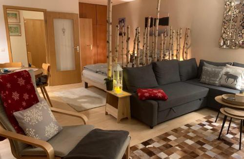 Saig Apartment | Studio Hase Saig