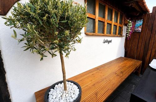 Vaihingen an der Enz Apartment | Studio Weidenkorb