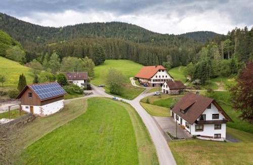 Wolfach - Saint Roman Apartment | Sulzerhof