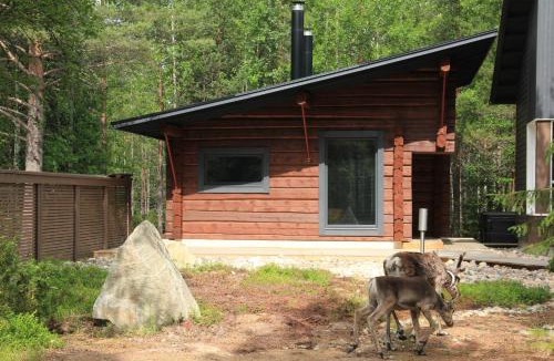 Syote House | Syöte Cottage