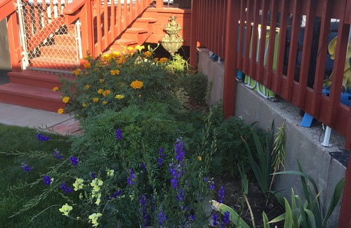 Pocatello House | Synchrodestiny 1 is joyful with a beautiful Mountain View from front yard