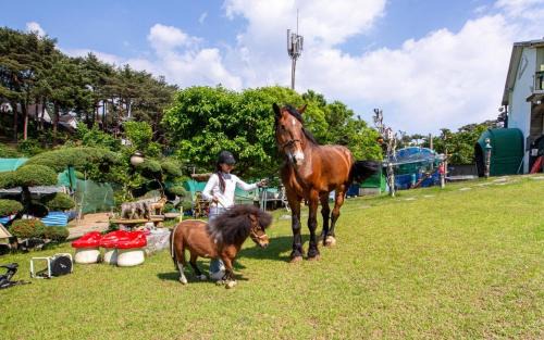 Taean House | Taean Secret Garden