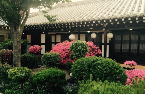 Jeonju House | Taejomaru