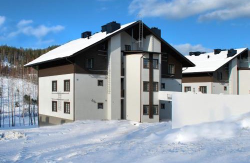 Tahkovuori Ski Chalet | Tahkonkehto D 202