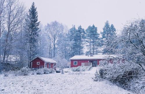Nurmes Apartment | Talo Nurmes - Porokylä