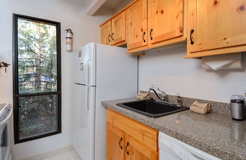 Frisco Condo | Ten Mile Island Condo: Downtown Frisco