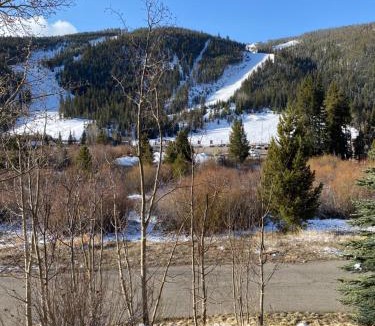 Mountain House House | Tenderfoot Lodge 2604 by SummitCove Lodging in Colorado