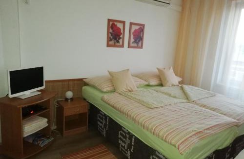 Karlin Apartment | Terrace Studio Prague Center