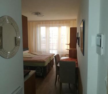 Karlin Apartment | Terrace Studio Prague Center