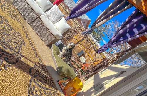 Berkeley House | THE HEN HOUSE! Walk to buzzing restaurants bars and shopping on Tennyson!