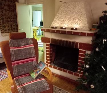 Kankaanpaa Apartment | Tilava huoneisto puutarhanäkymällä