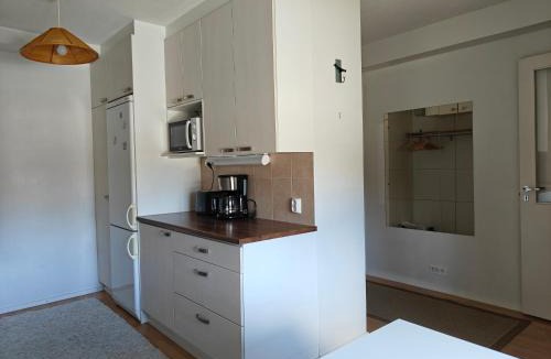 Lapinlahti Apartment | Tilava kaksio Lapinlahti keskusta