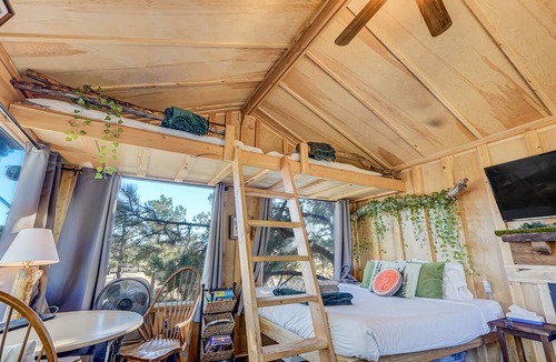 Larkspur House | Tree Fort Escape