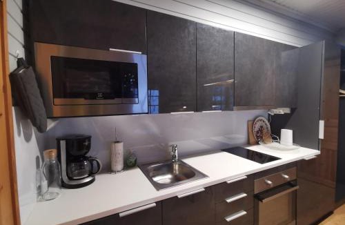 Syote Apartment | Tunturikettu