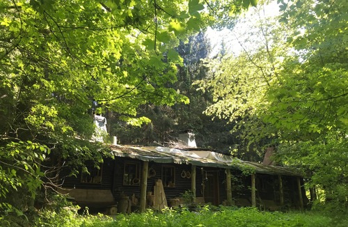 Bertsdorf House | Vacation apartment "Igelstübchen" in the Wild Auwaldhaus, Zittauer Gebirge