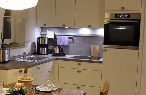 Eiderstedt Cottage | Vacation apartment under a thatched roof