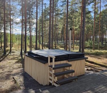 Loimaa Villa | Villa Alex