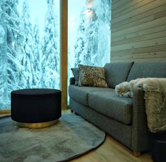 Syote Ski Chalet | Villa Auroras Karhu