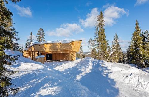 Syote House | Villa Tykkyrinne