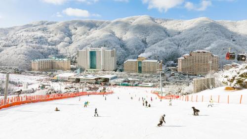 Seo Hotel | VivaldiPark