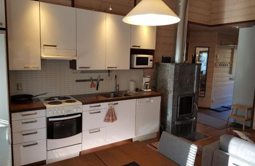 Syote Apartment | Vutnusmaja air-conditioned holiday home at Iso-Syöte