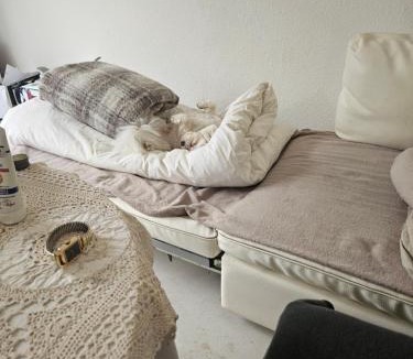 Frankfurt an der Oder Apartment | WG-Zimmer