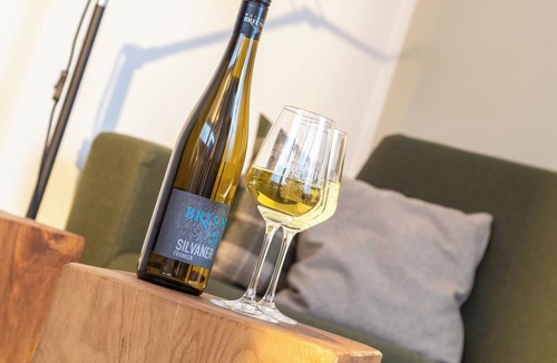Eibelstadt Apartment | "Wine experience directly at the winegrower - live & enjoy"