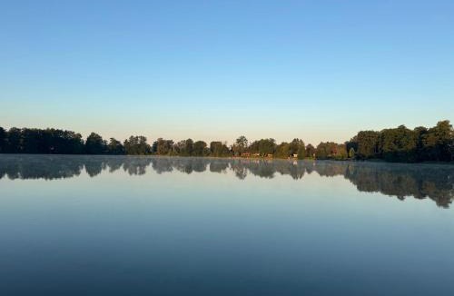 Mullrose Other | Wohnmobilstellplatz Katharinensee
