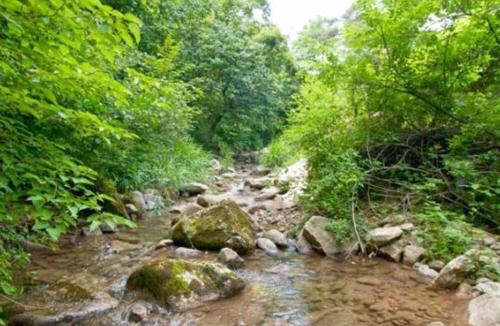 Wonju House | Wonju Sarichi Land in Forest Pension