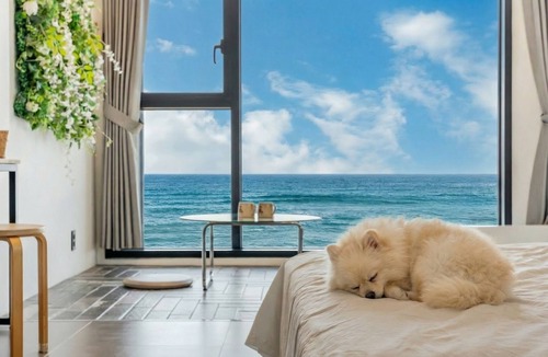 Yangyang House | Yangyang Surf Shack